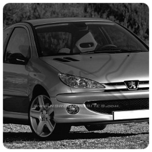 PEUGEOT 206 RC - S16 - XS